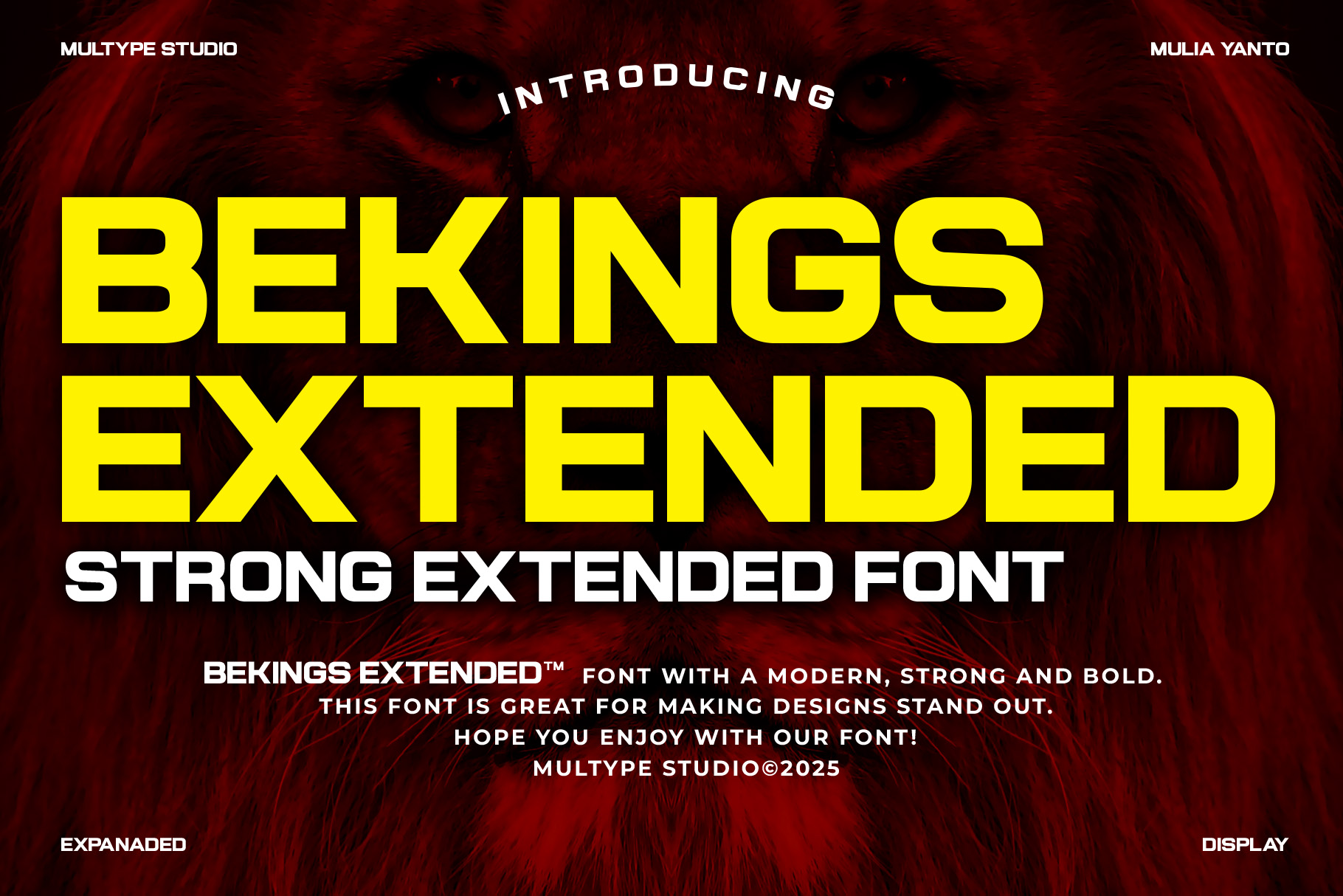 Bekings Extended Font
